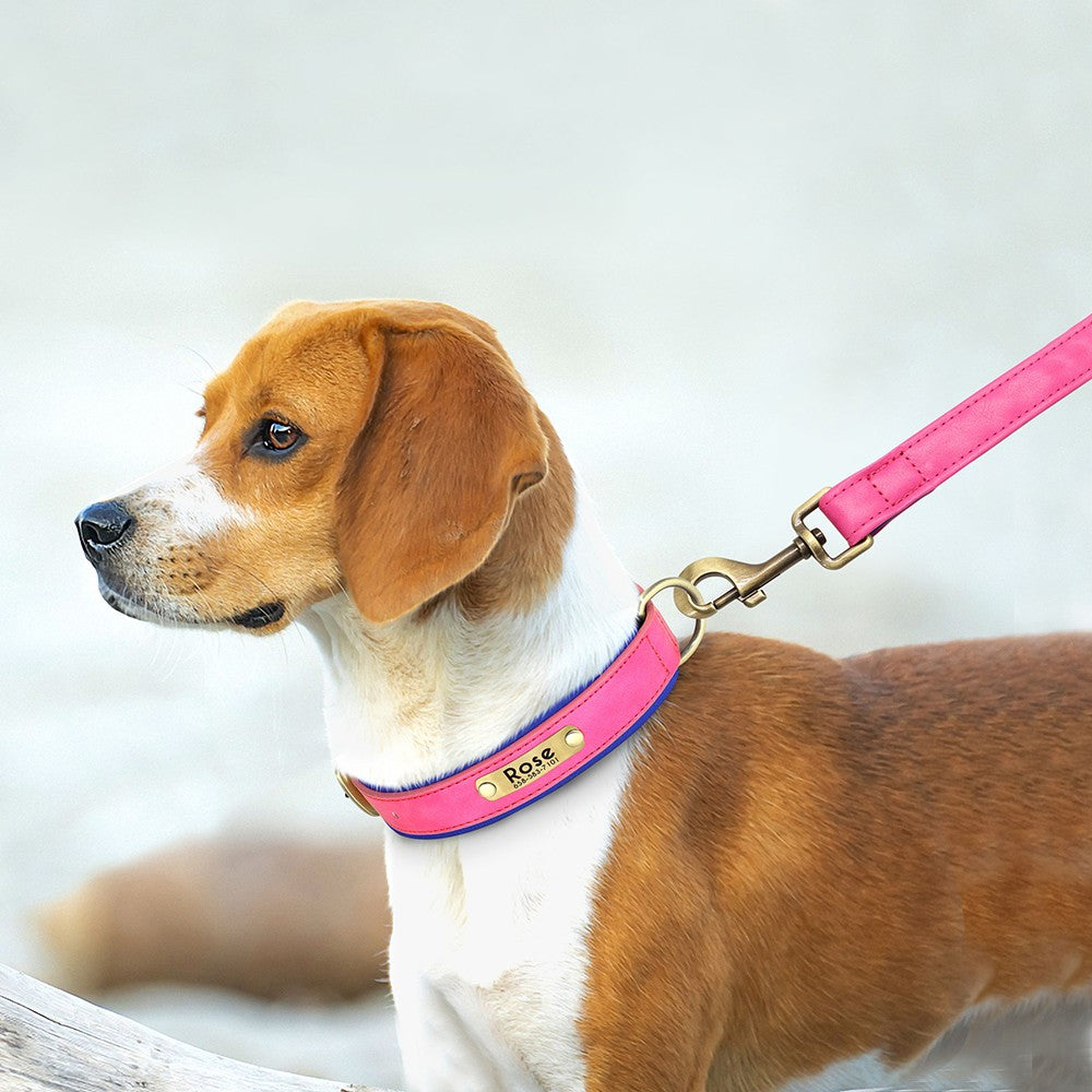 Coleira de Couro Personalizada para Cães com Plaquinha Gravada e Forro Acolchoado