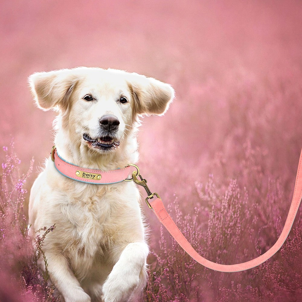 Coleira de Couro Personalizada para Cães com Plaquinha Gravada e Forro Acolchoado