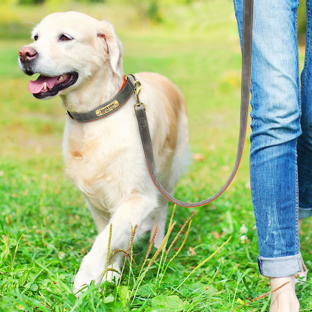 Coleira de Couro Personalizada para Cães com Plaquinha Gravada e Forro Acolchoado