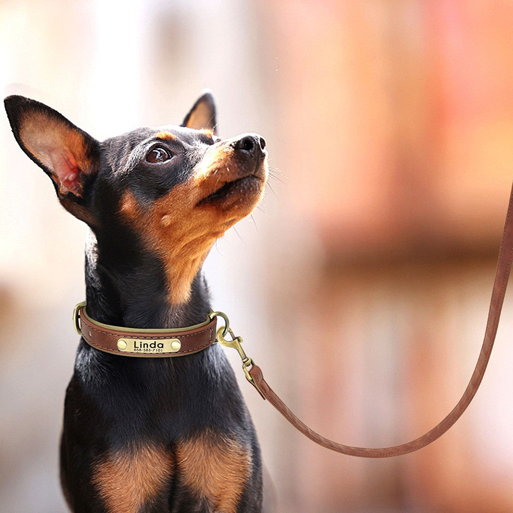 Coleira de Couro Personalizada para Cães com Plaquinha Gravada e Forro Acolchoado
